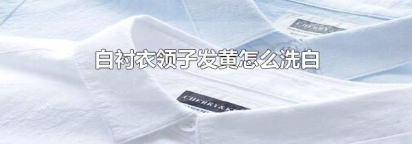 白衬衣领子发黄怎么洗白