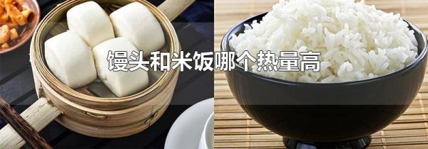 馒头和米饭哪个热量高