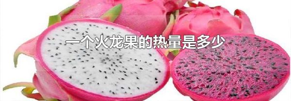 一个火龙果的热量是多少