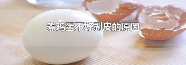 煮鸡蛋不好剥皮的原因