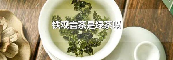 铁观音茶是绿茶吗