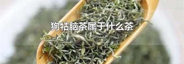 狗牯脑茶属于什么茶