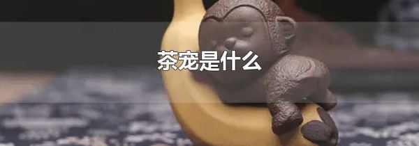 茶宠是什么