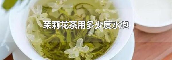 茉莉花茶用多少度水泡