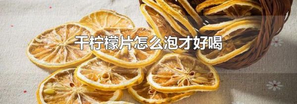 干柠檬片怎么泡才好喝
