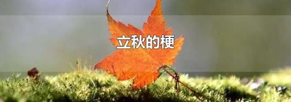 立秋的梗