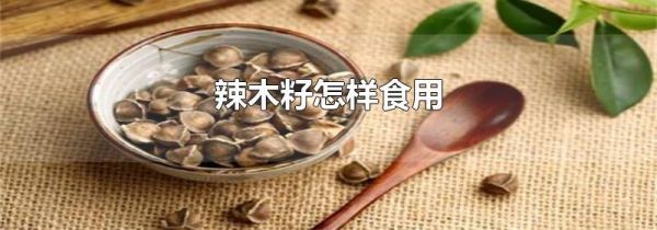 辣木籽怎样食用