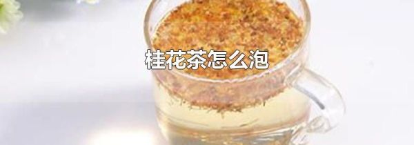 桂花茶怎么泡