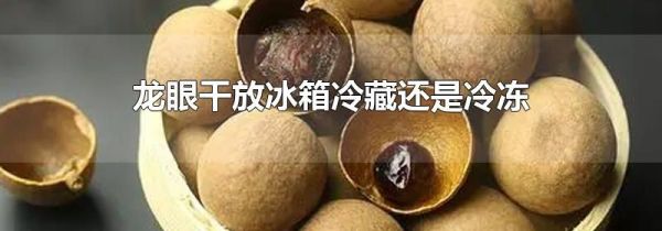 龙眼干放冰箱冷藏还是冷冻