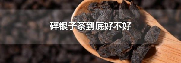 碎银子茶到底好不好