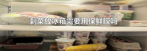 剩菜放冰箱需要用保鲜膜吗