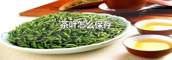 茶叶怎么保存