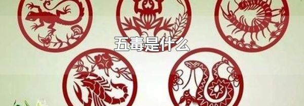五毒是什么
