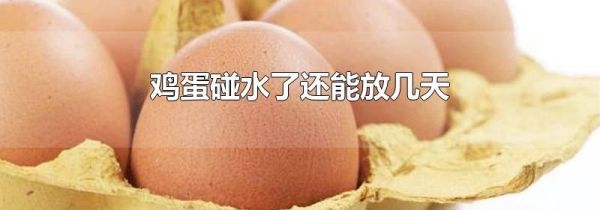 鸡蛋碰水了还能放几天