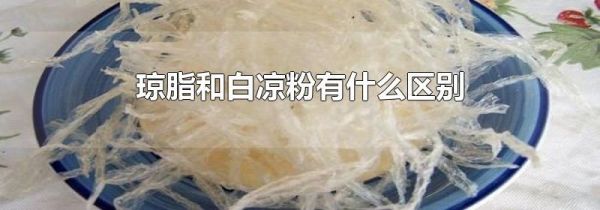 琼脂和白凉粉有什么区别