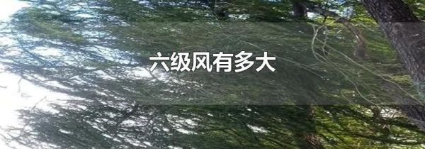 六级风有多大