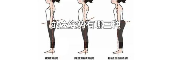站立姿势有哪三种