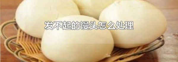 发不起的馒头怎么处理