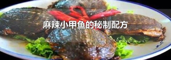 麻辣小甲鱼的秘制配方
