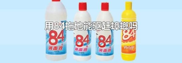 用84拖地能驱赶蟑螂吗