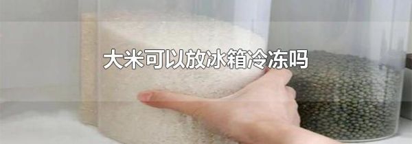 大米可以放冰箱冷冻吗