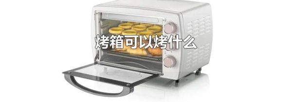 烤箱可以烤什么