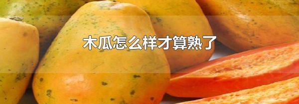 木瓜怎么样才算熟了