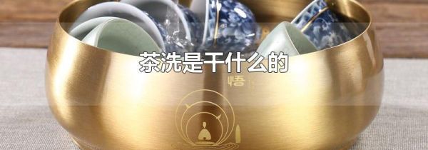 茶洗是干什么的