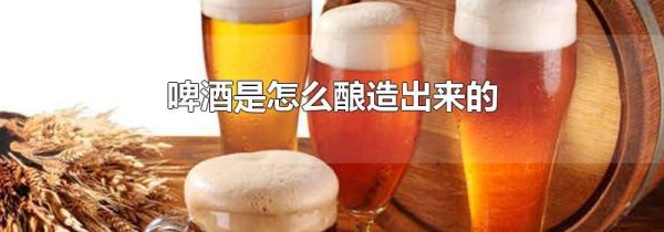 啤酒是怎么酿造出来的
