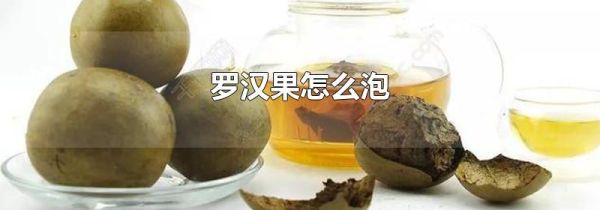 罗汉果怎么泡