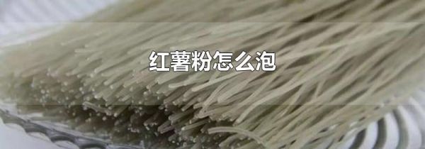 红薯粉怎么泡