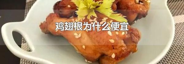 鸡翅根为什么便宜