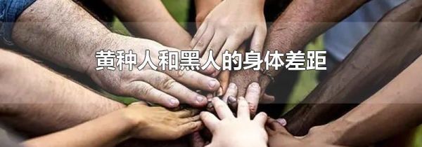 黄种人和黑人的身体差距