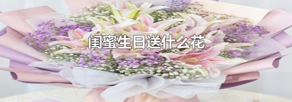 闺蜜生日送什么花