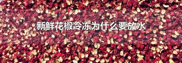 新鲜花椒冷冻为什么要放水