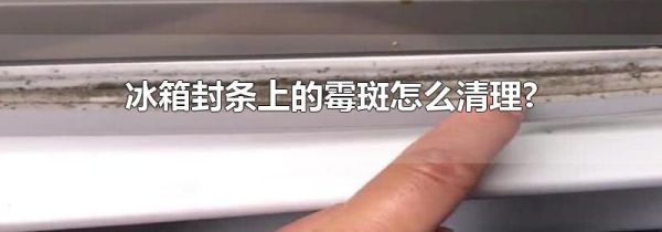 冰箱封条上的霉斑怎么清理?