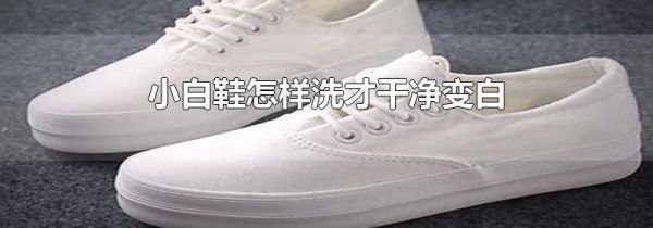 小白鞋怎样洗才干净变白