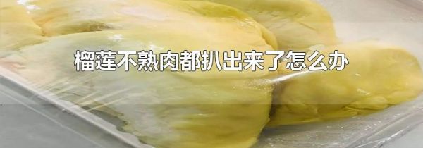榴莲不熟肉都扒出来了怎么办