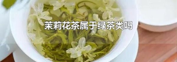 茉莉花茶属于绿茶类吗