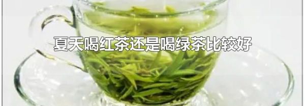 夏天喝红茶还是喝绿茶比较好