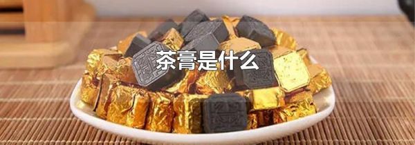 茶膏是什么