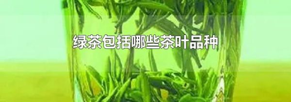 绿茶包括哪些茶叶品种