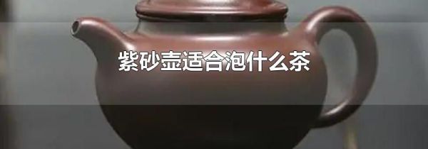 紫砂壶适合泡什么茶