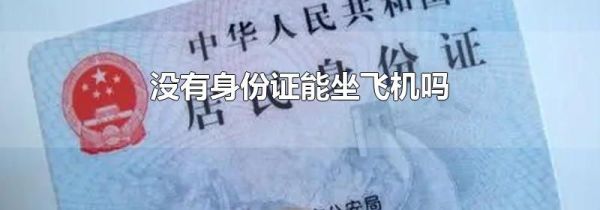 没有身份证能坐飞机吗