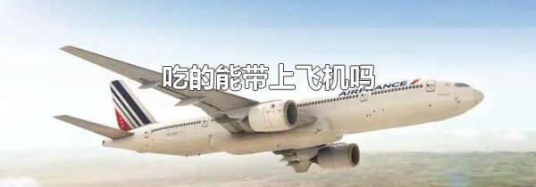 吃的能带上飞机吗
