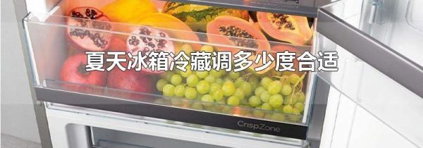 夏天冰箱冷藏调多少度合适