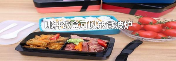 哪种饭盒可以放微波炉