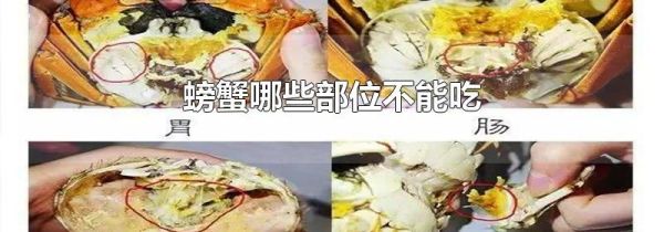 螃蟹哪些部位不能吃