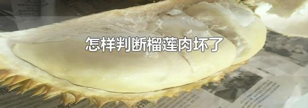 怎样判断榴莲肉坏了