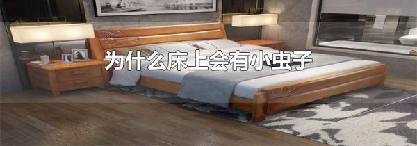 为什么床上会有小虫子